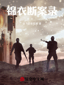 锦衣断案录