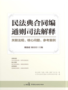 民法典合同编通则司法解释：关联法规、核心问题、参考案例在线阅读