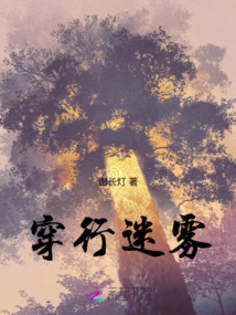 穿行迷霧