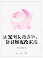 团宠闺女两岁半,暴君连夜改家规在线阅读