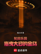 轮回乐园:拖曳大日的金乌在线阅读