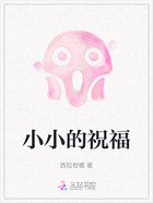 小小的祝福在线阅读