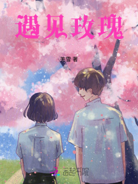 遇见玫瑰在线阅读