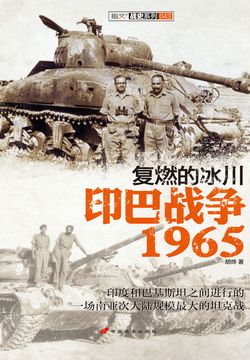 复燃的冰川：印巴战争1965 封面