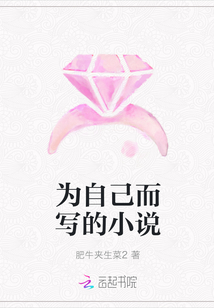 為自己而寫的小說
