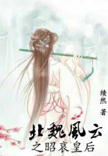 北魏风云之昭哀皇后