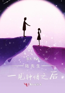 陸先生一見鐘情之后