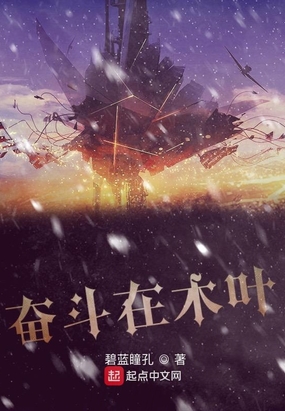 奋斗在木叶在线阅读