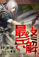 最终兵解在线阅读