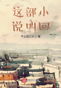 這部小說叫回
