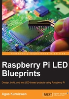 Raspberry Pi LED Blueprints