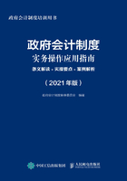 政府会计制度实务操作应用指南：条文解读+实操要点+案例解析（2021年版）