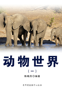 動物世界1