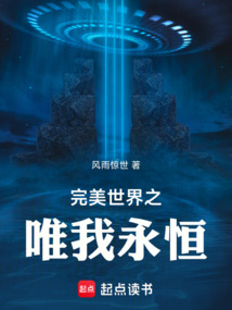 完美世界之唯我永恒在线阅读