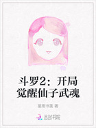 斗罗2:开局觉醒仙子武魂在线阅读