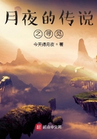 月夜的传说之寻觅在线阅读