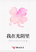 我在光阴里在线阅读