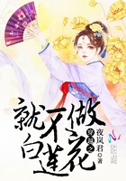 穿越之就不做白蓮花在線閱讀