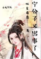 寧公子又出事了在線閱讀