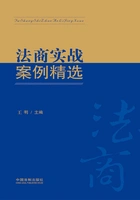 法商实战案例精选在线阅读