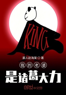 我的老婆是諸葛大力