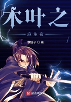木叶之麻生夜在线阅读
