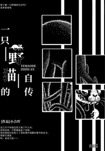 一只野貓的自傳