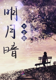明月暗芳華留
