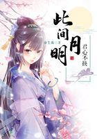 此间月明,君心不换在线阅读
