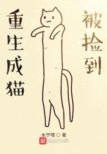 重生成猫被捡到