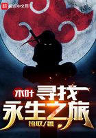 木叶寻找永生之旅在线阅读