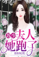 蘇少，夫人她跑了在線閱讀
