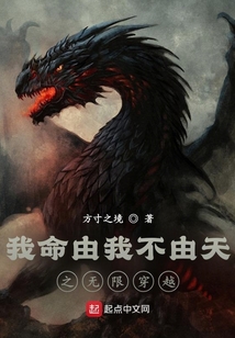 我命由我不由天之無限穿越
