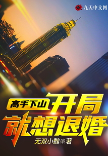 高手下山：開局就想退婚