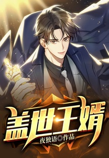 蓋世王婿