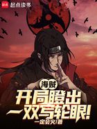 海贼:开局瞪出一双写轮眼!在线阅读
