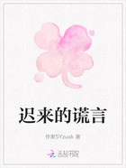 迟来的谎言在线阅读