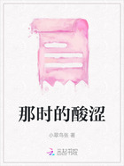 那时的酸涩在线阅读