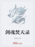 剑魂焚天录在线阅读
