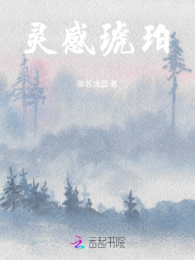 灵感琥珀在线阅读