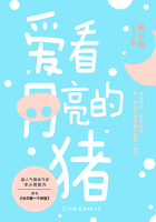 爱看月亮的猪在线阅读