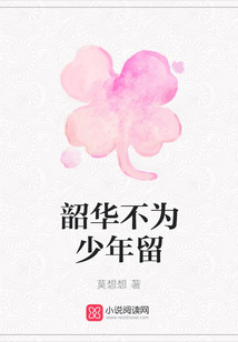 韶華不為少年留