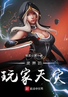 灵界的玩家天灾在线阅读