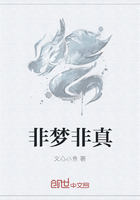 非梦非真