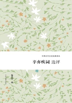 辛弃疾词选评 封面