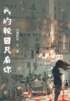 我的轮回只有你在线阅读