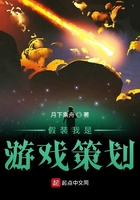 假装我是游戏策划在线阅读
