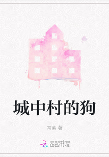 城中村的狗