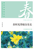 “我的青春我的梦”全国中学生校园美文精品集萃丛书:在时光里暗自生长在线阅读