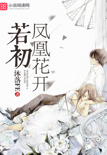 凤凰花开若初